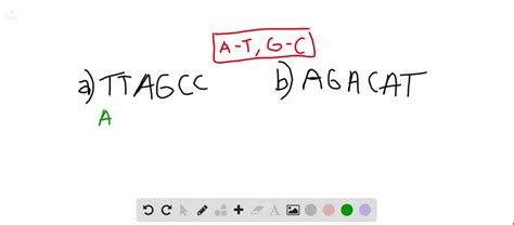 SOLVED:Write the sequence of the complementary DNA strand that pairs ...