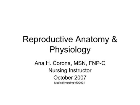 Reproductive Anatomy And Physiology Ppt