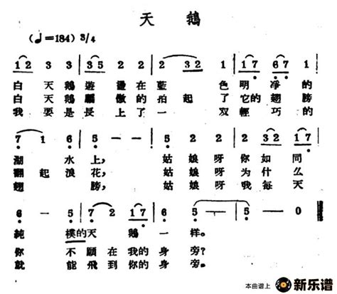 《天鹅》最新曲谱 钢琴谱吉他谱 新乐谱