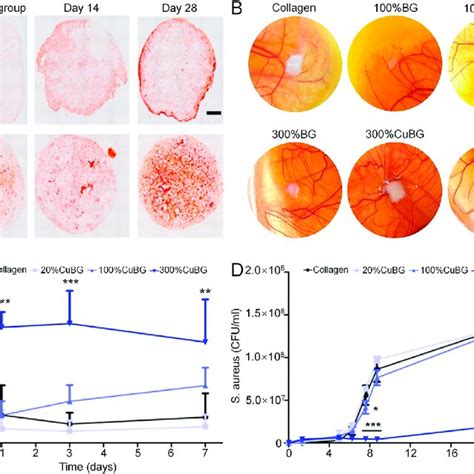 Dual Function Collagen Scaffold Incorporated With Cu Doped Bioactive Download Scientific