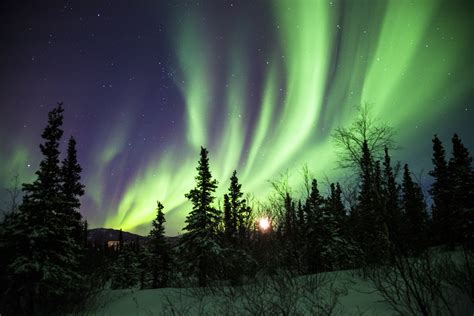 Alaska Aurora Aurora Borealis Northern Lights Nature Sky