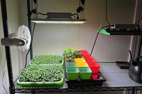 Grow Lights For Beginners Simplified Guide Geeky Greenhouse