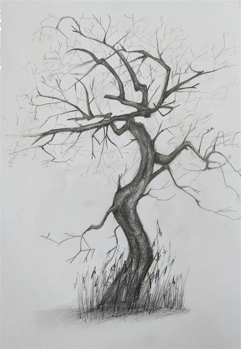 Fine Art Tree Pencil Drawing, Handmade Original Sketch, Realistic ...