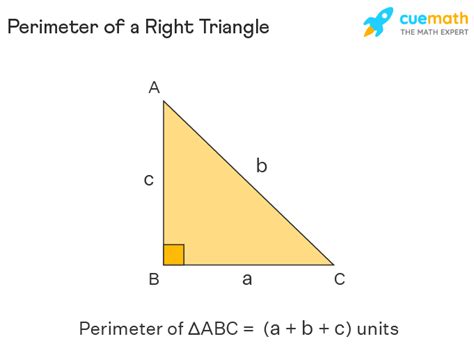 Triangle Abc Is A Right Triangle