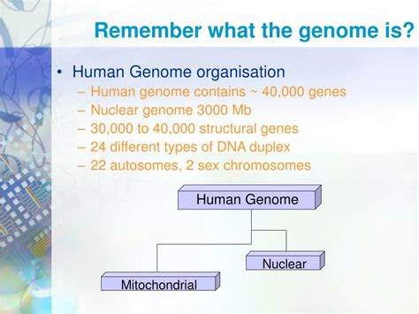 Ppt Topics In Nano Biotechnology Human Genome Project Lecture 12 Powerpoint Presentation