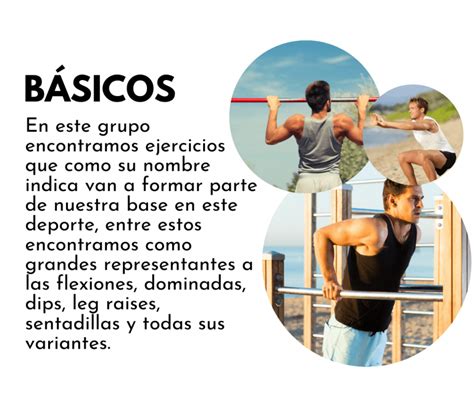 LO QUE NECESITAS SABER SOBRE LA CALISTENIA Wonderfit Spain