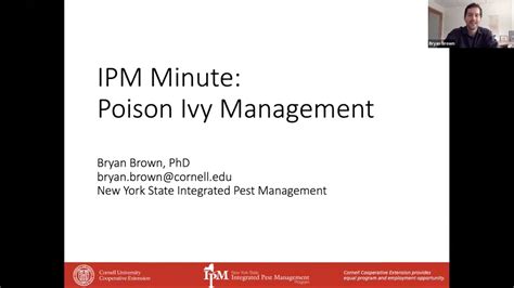 Poison Ivy Management YouTube