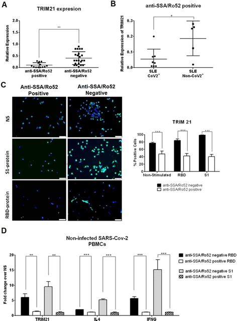 Trim21 Gene Expression And Protein Levels In Peripheral Blood