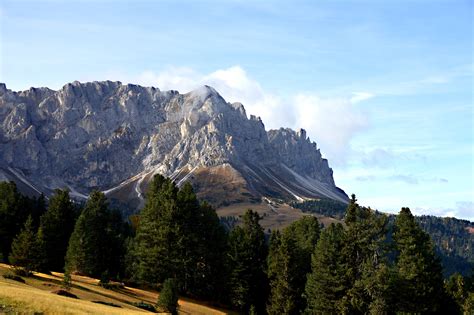 Free Images Landscape Tree Nature Grass Rock Wilderness Walking