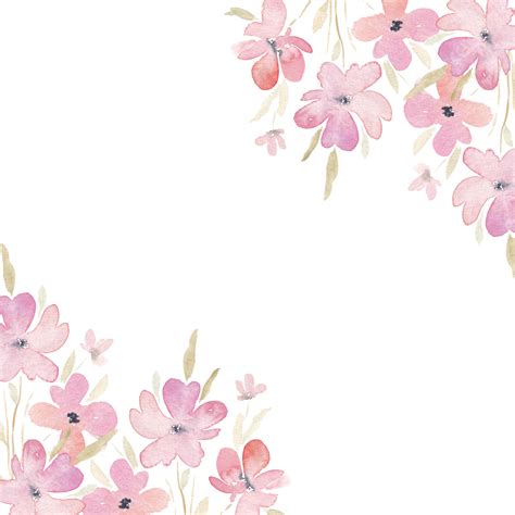 Pink Splash Watercolor Flower Border Wedding Borders Flowers PNG