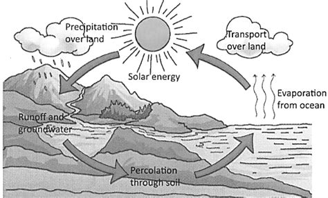 Define Water Cycle