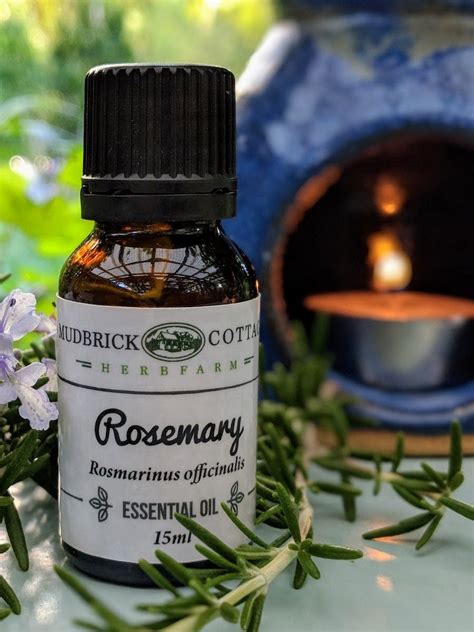 Rosemary Essential Oil Certified Organic Mudbrick Herb Cottage