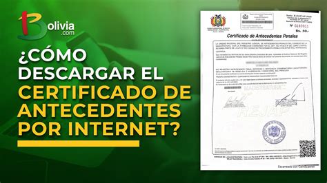 Conoce Cómo Descargar El Certificado De Antecedentes A Través De