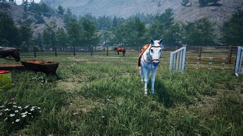 Ranch Simulator Build Farm Hunt Free Download Anygame