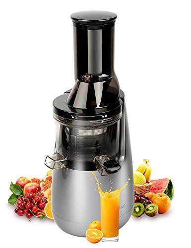 Wide Chute Anti Oxidation Slow Masticating Juicer With Quiet Motor And