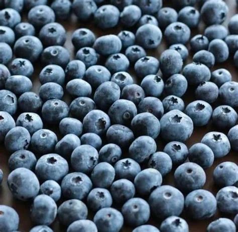 Whole Frozen Blueberry Packaging Type Loose At Rs 550 Kg In Pune ID