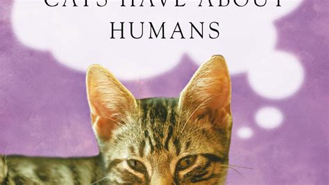 One Hundred Secret Thoughts Cats Have About Humans By Celia Haddon