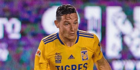 Miguel Herrera Tomó Una Drástica Decisión Con Florian Thauvin En Tigres Uanl Strikers Cracks