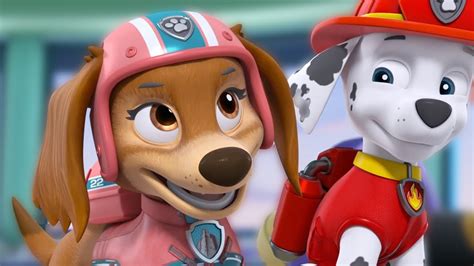 Paw Patrol Pup Pup Boogie Dance Battle Youtube