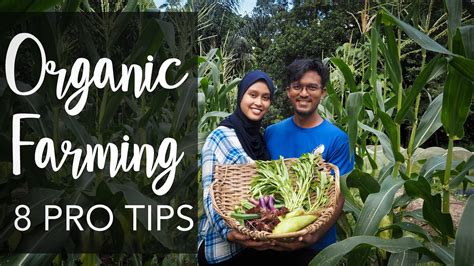 Organic Farming Tour And Techniques High Yield Low Cost With Jadam Kira Organic Farm Youtube