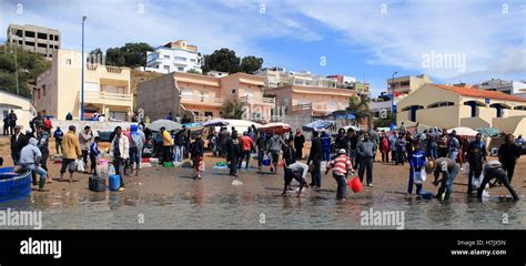 A crowded fish market on the beach at Merja Zerga, Morocco Stock Photo ...