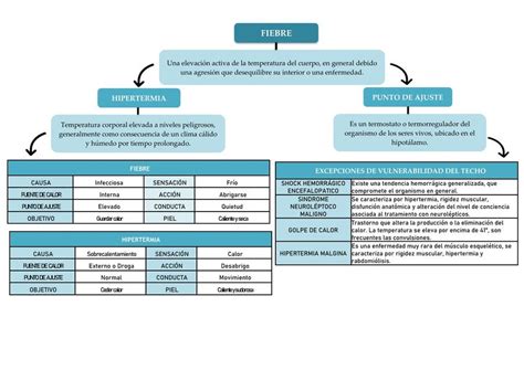 Fiebre Mapa Conceptual Janch Udocz