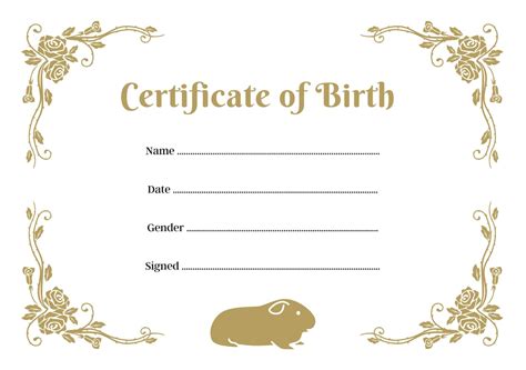 Guinea Pig Birth Certificate Printable Pdf A4 Download Instant Print At