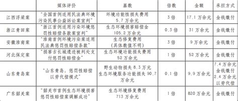 生态环境损害惩罚性赔偿的证成与适用