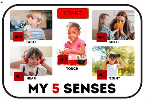 Our 5 Senses Science Digital Boom Card Deck Made By Teachers