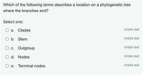 Solved Which Of The Following Terms Describes A Location On Chegg