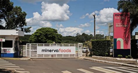 Minerva BEEF3 Lucro líquido cai 21 no 2T24 para R 95 4 milhões