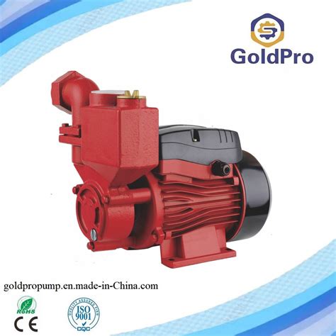 House Floor Automatic Electric Self Priming Hot And Cold Water Booster Pump China Submersible