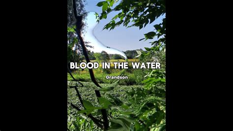 Grandson Blood Water Lyrics Youtube