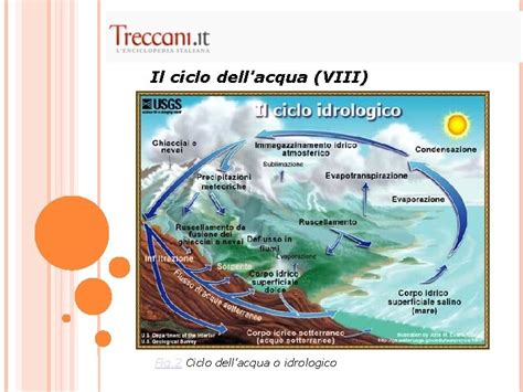 I Cicli Biogeochimici Dellacqua E Del Carbonio Parte