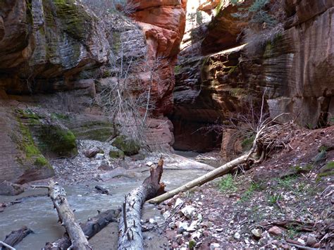 Beartrap Canyon Kolob Canyons Area Zion National Park Utah