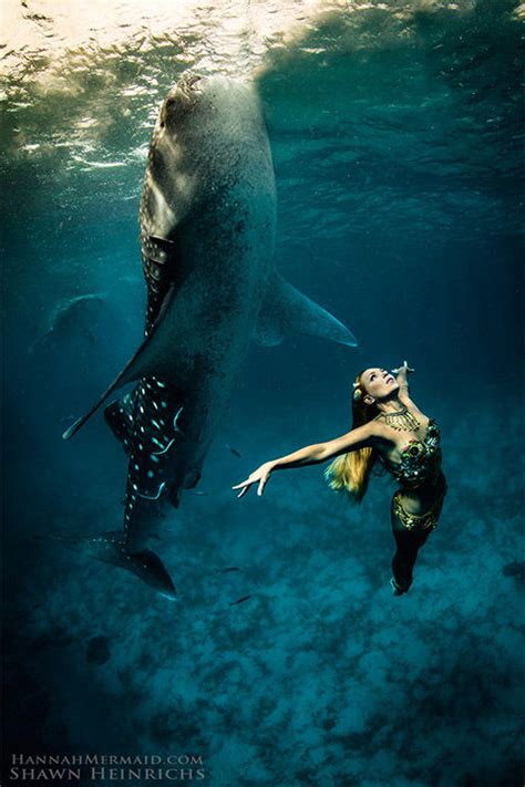 Hannah Fraser A Real Life Mermaid Swims With Sharks And Whales To