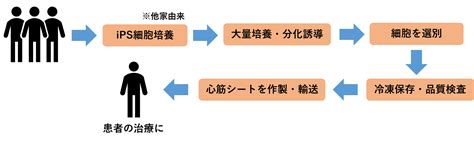 U Are Biomedicalist｜再生医療の未来③