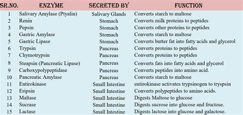 What Is Enzymes Its Characteristic And Functions Study Science