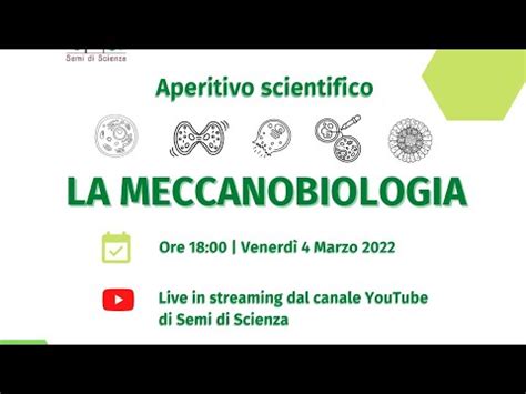 Aperitivo Scientifico La Meccanobiologia YouTube