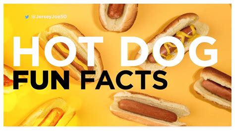 Hot Dog Fun Facts Jersey Joe 671 Youtube