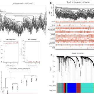 Cluster Analysis And Construction Of Wgcna A Sample Clustering B