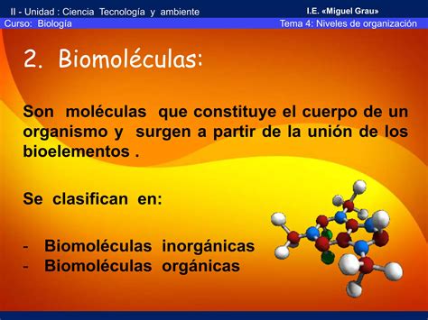 Bioelementos Y Biomoleculas Ppt Descarga Gratuita