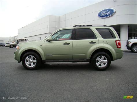 2008 Kiwi Green Metallic Ford Escape Hybrid 4wd 16993473 Photo 5 Car Color