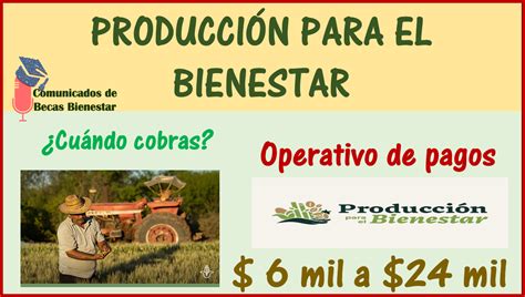 Producci N Para El Bienestar Cu Ndo Comienzan Los Pagos Juristas