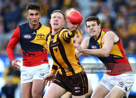 Afl Scores Round 12 2024