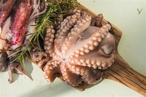 El pulpo está crudo listo para cocinar concepto creativo de comida