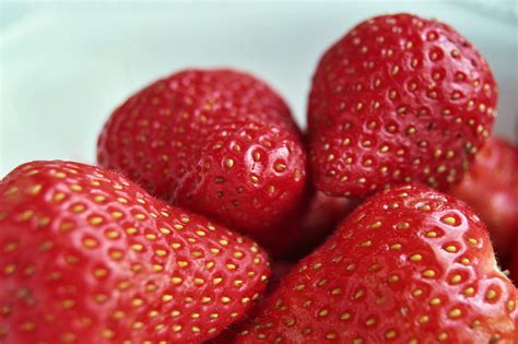 Fond d écran aliments fruit des fraises plante baie fraise