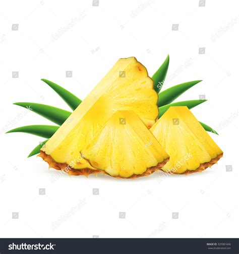 Sliced Pineapple Isolated On White Background Stock Vector Royalty