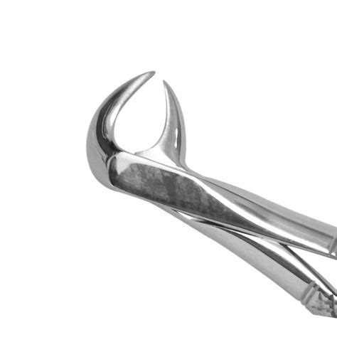 Buy Trust Care Tooth Extraction Forcep Lower Molars Cow Horn Fig No