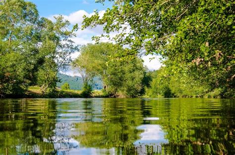 Soluciones Basadas En La Naturaleza